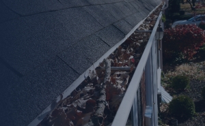 Gutters before cleaning